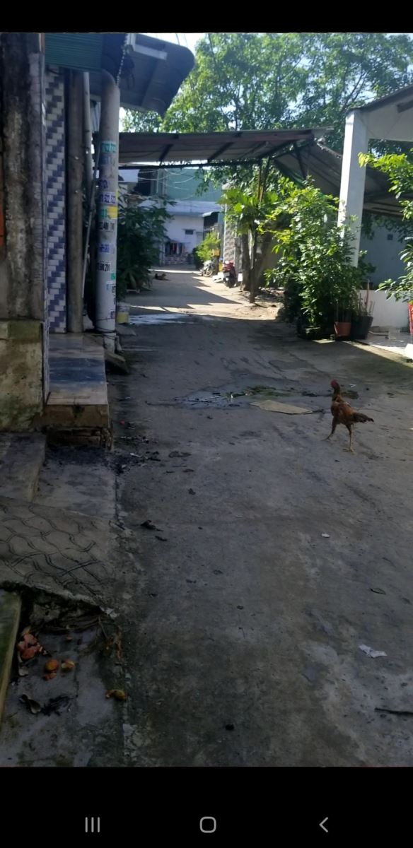 Cần bán đất thổ cư Nguyễn Kim cương, giá bán 550 triệu, Huyện Củ Chi